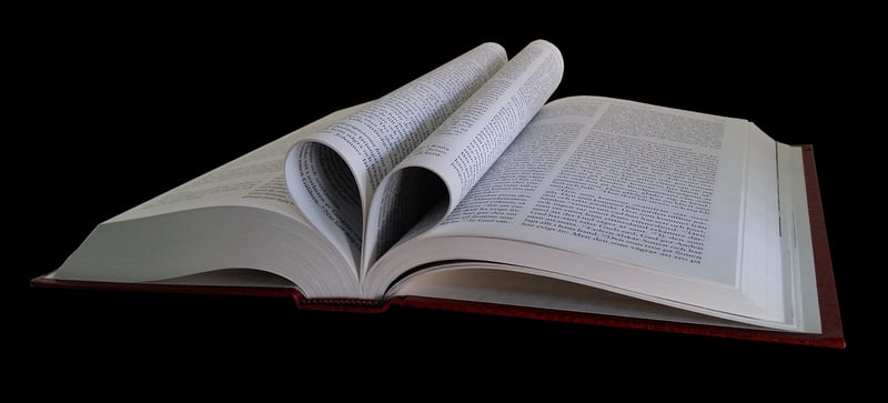 Repurposed Bookshelf from Ladder